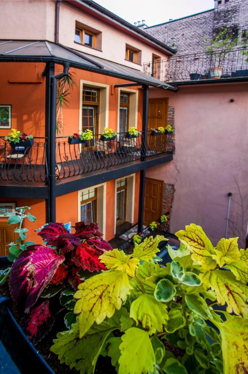 Oberza 3* Краків